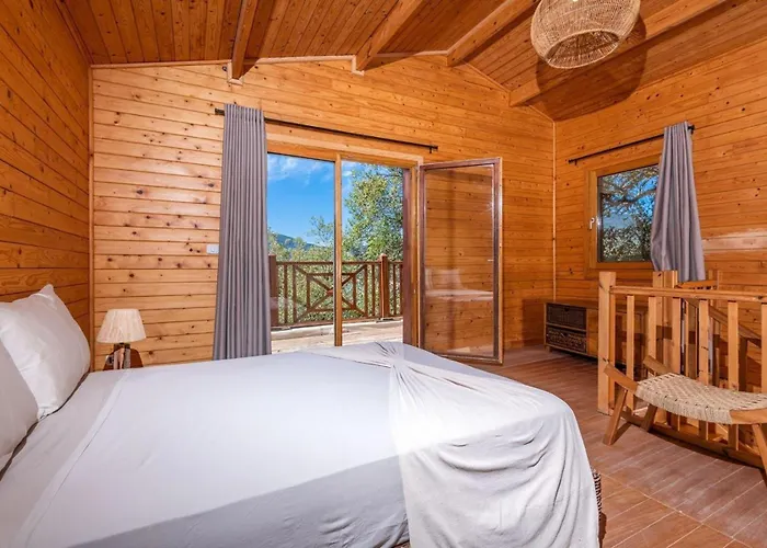 Chalets&SPA à l'eau thermale