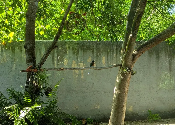 The Blue Eco Lodge