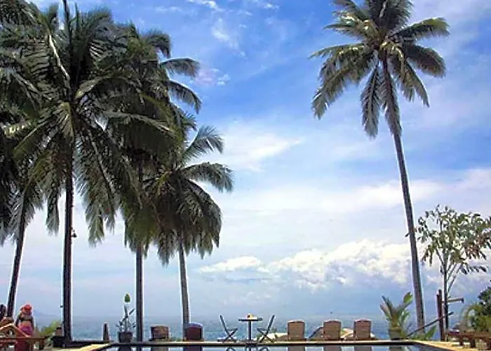 D'Coconut Lagoon