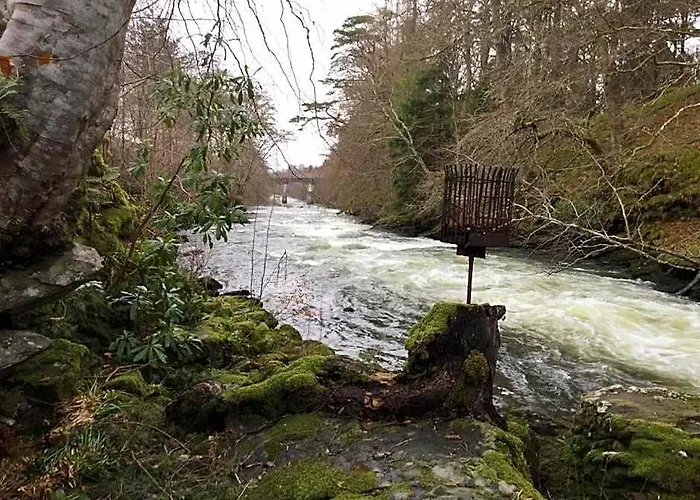 The River Inn