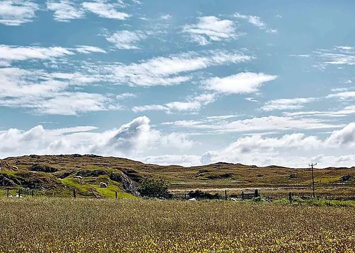 Iona Pods