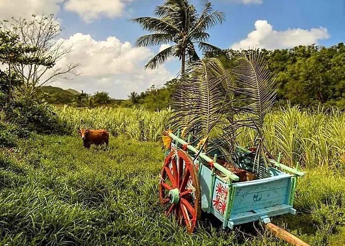 Kanalu