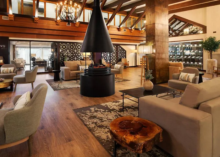 Melia Sierra Nevada Hotel