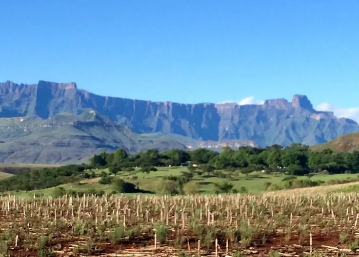 Hlalanathi Drakensberg Resort