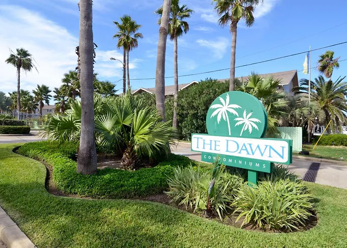 Dawn 223- Buena Vista