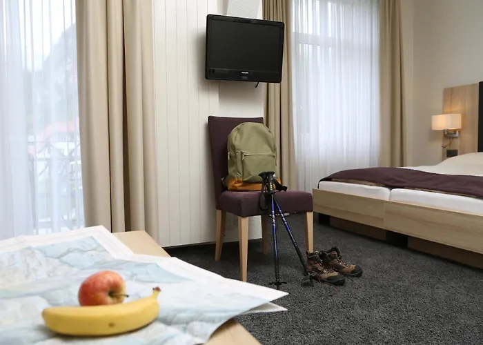 Hotel Loetschberg