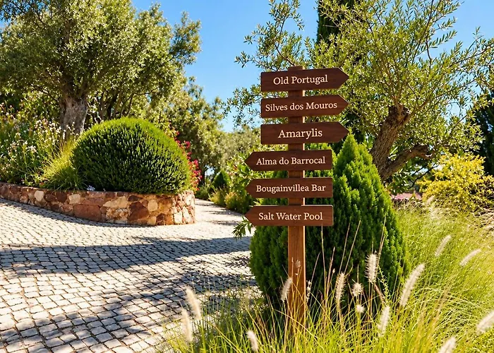 Gato Preto De Silves - Adults Only