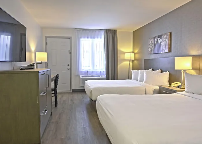 Repotel Levis