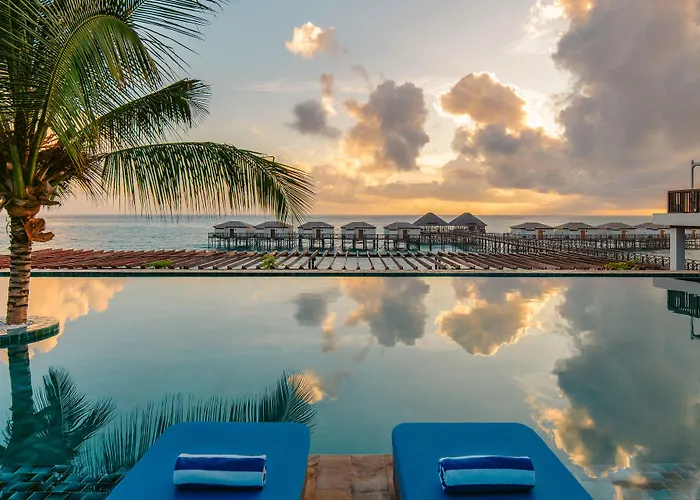 Le Mersenne Zanzibar, Autograph Collection