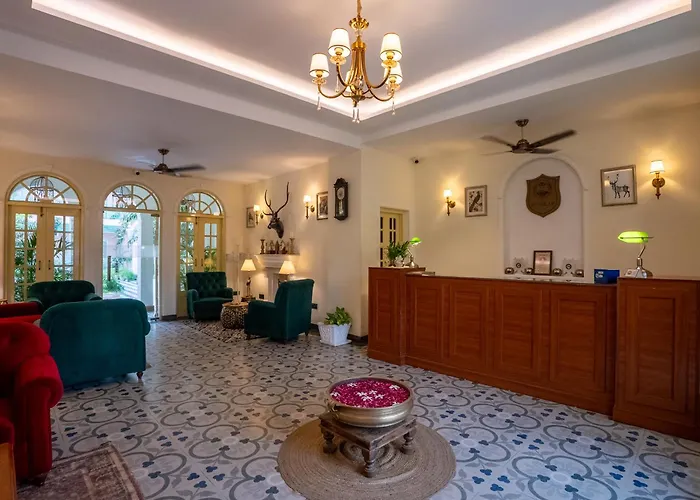 Hotel White Rabbit