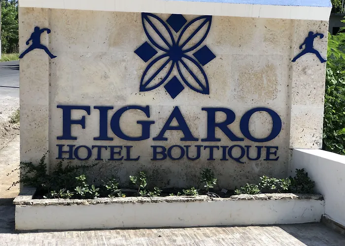 Figaro Hotel Samana