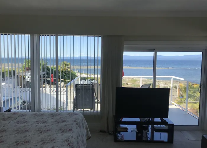 Buena Vista By The Sea