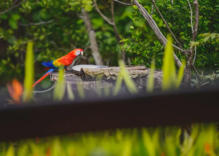 Hotel Cerro Lodge