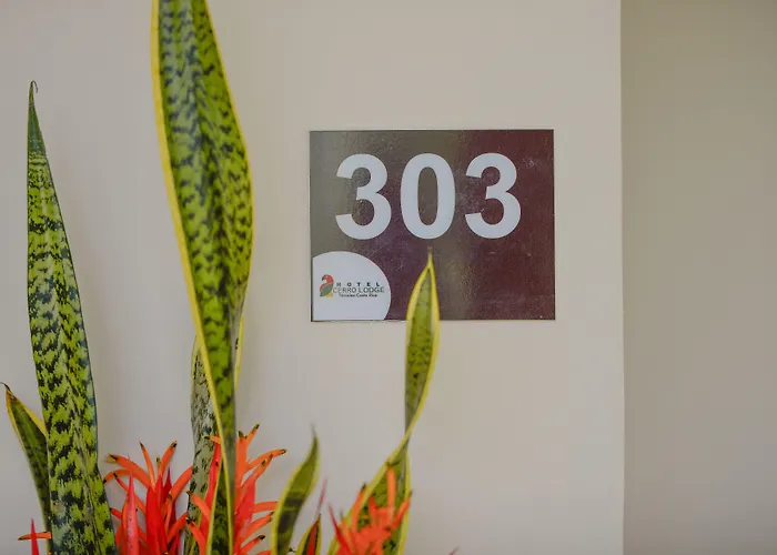 Hotel Cerro Lodge