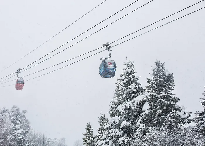 Hotel Màgic Ski