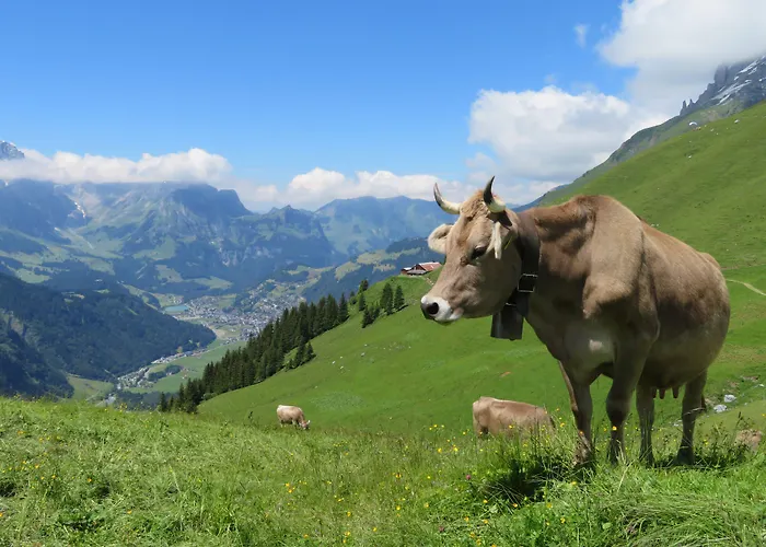 Hotel Regina Titlis, A Trademark Collection By Wyndham