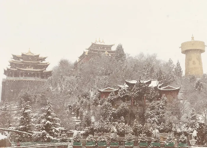 Arro Khampa By Zinc Journey Shangri-La