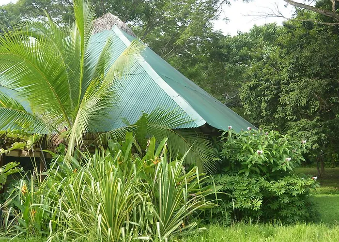 Indigo Yoga Surf Resort