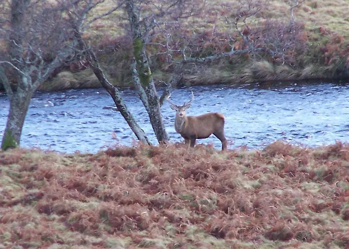 Lairg Highland Hotel