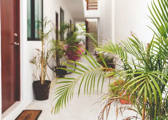 Great Villas Estudios & Residences - The Kahlo